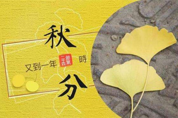 秋分时节｜粉末喷塑设备厂家想分一半秋色给你！